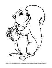 Eichhörnchen-zum-Ausschneiden.pdf